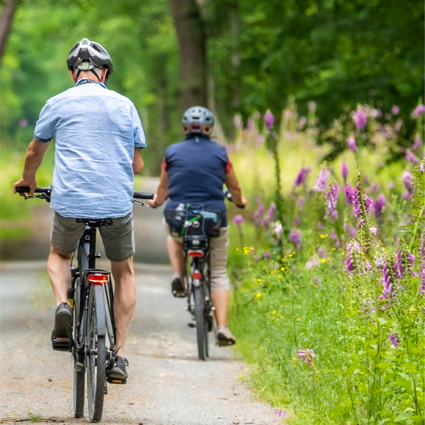 Bike Experience sul Lago di Garda